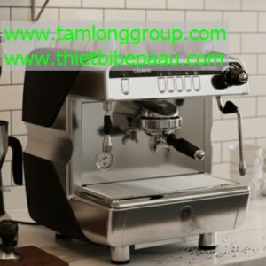 Máy pha cà phê Casadio Nettuno 1 Group